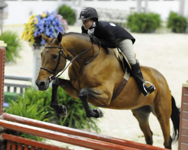 WIHS-10-20-09-DSC_1253-Pommegranate-HeatherGeller-DDeRosaPhoto.jpg