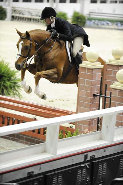 WIHS-10-20-09-DSC_1260-Vermilion-AinsleySadlo-DDeRosaPhoto.jpg