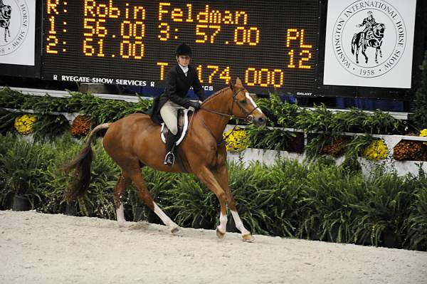 WIHS-10-20-09-DSC_1042-Vermilion-AinsleySadlo-DDeRosaPhoto.jpg