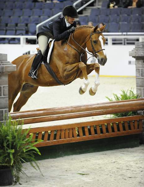 WIHS-10-20-09-DSC_1047-Vermilion-AinsleySadlo-DDeRosaPhoto.jpg