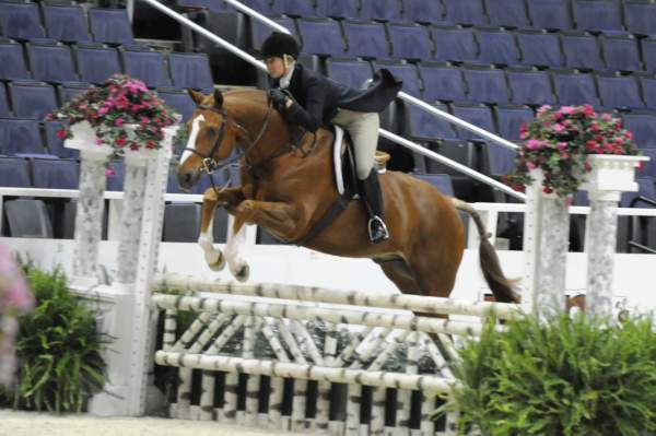 WIHS-10-20-09-DSC_1255-Vermilion-AinsleySadlo-DDeRosaPhoto.jpg