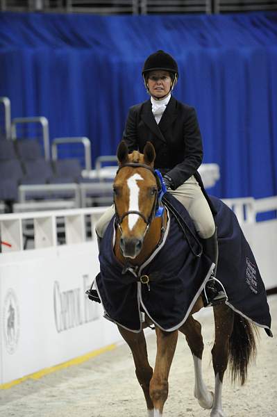 WIHS-10-20-09-DSC_1266-Vermilion-AinsleySadlo-DDeRosaPhoto.jpg