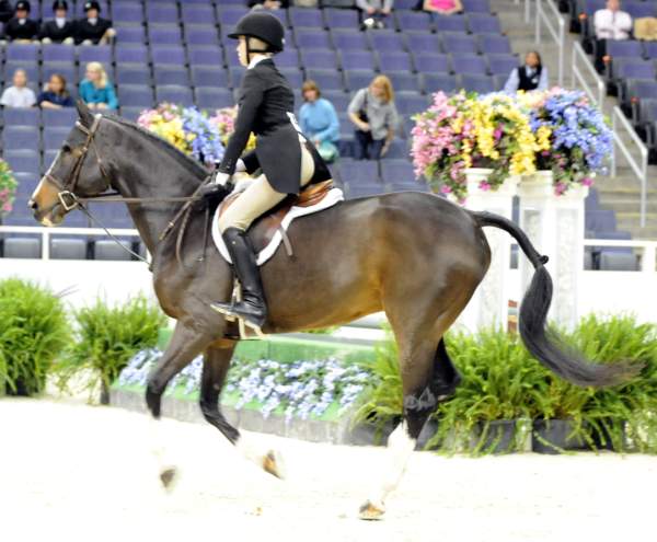 WIHS-10-20-09-DSC_0534-Castille-AliSelman-DDeRosaPhoto.jpg