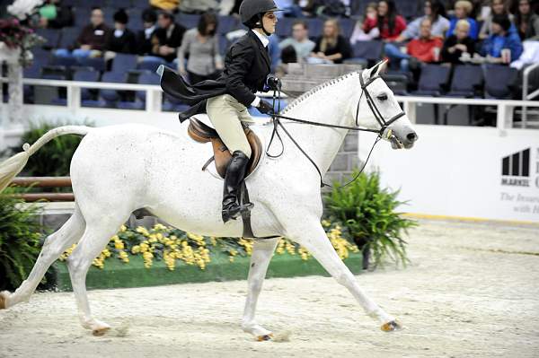 WIHS-10-20-09-DSC_0565-Cotton-AudreyGallagher-DDeRosaPhoto.jpg