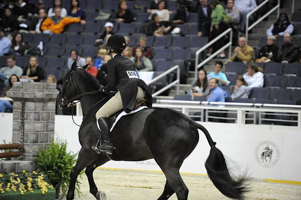 WIHS-10-20-09-DSC_0582-Lexington-SiennaSumavielle-DDeRosaPhoto.jpg