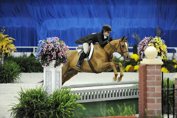 WIHS-10-20-09-DSC_0606-BusinessAsUsual-SophiaBednarik-DDeRosaPhoto.jpg