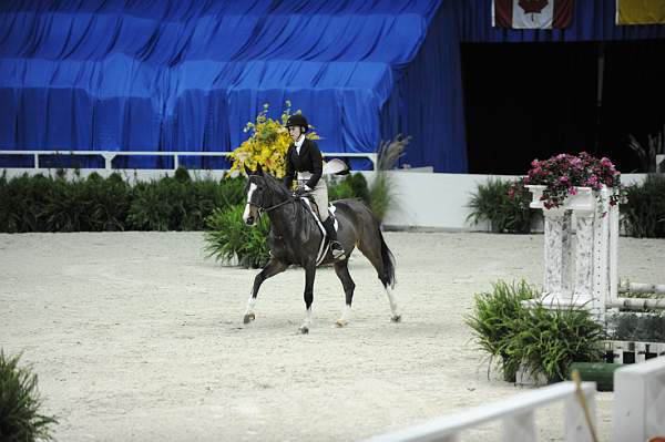 WIHS-10-20-09-DSC_0804-Castille-AliSelman-DDeRosaPhoto.jpg