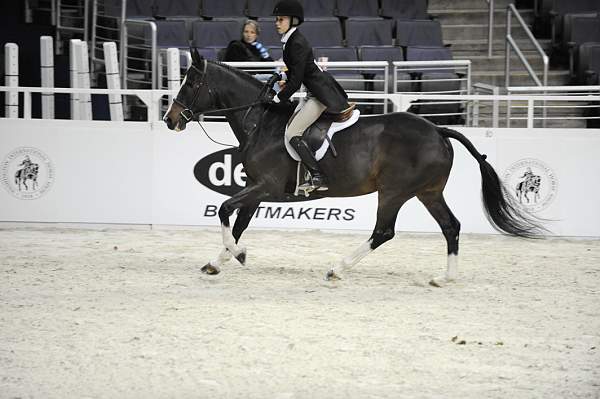 WIHS-10-20-09-DSC_0806-Castille-AliSelman-DDeRosaPhoto.jpg