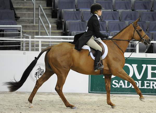 WIHS-10-20-09-DSC_0859-BusinessAsUsual-SophiaBednarik-DDeRosaPhoto.jpg