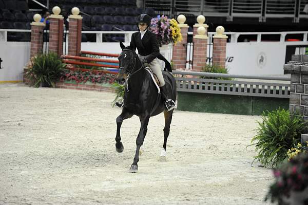 WIHS-10-20-09-DSC_0866-Lexington-SiennaSumavielle-DDeRosaPhoto.jpg