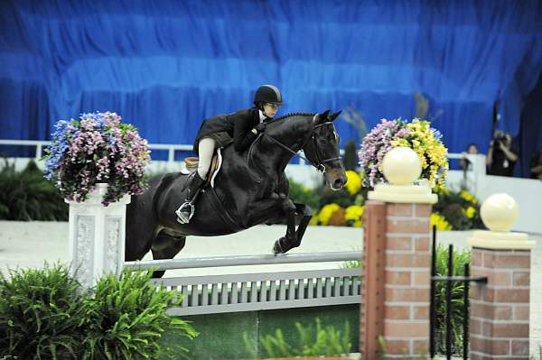 WIHS-10-20-09-DSC_0577-Lexington-SiennaSumavielle-DDeRosaPhoto.jpg