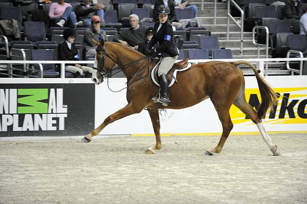 WIHS-10-23-09-WIHSJrEqHtr-DSC_8167-AlmostFamous-HasbrouckDonovan-DDeRosaPhoto.jpg