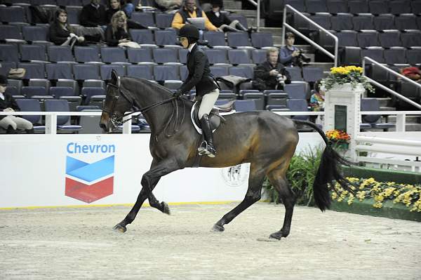 WIHS-10-23-09-WIHSJrEqHtr-DSC_8175-InPursuit-SamanthaSmith-DDeRosaPhoto.jpg