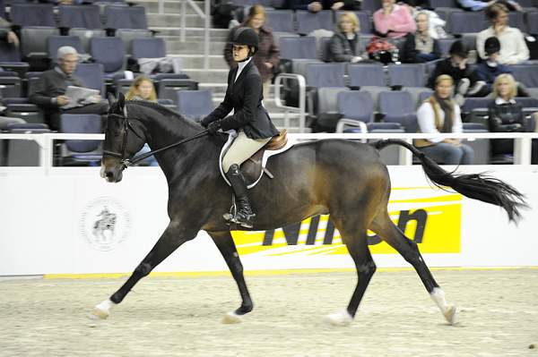 WIHS-10-23-09-WIHSJrEqHtr-DSC_8201-Prosecco24-PaulenaJohnson-DDeRosaPhoto.jpg