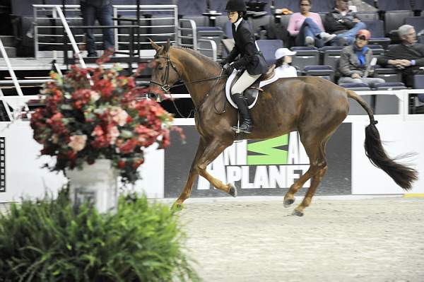 WIHS-10-23-09-WIHSJrEqHtr-DSC_8222-Agostino-KelseyHart-DDeRosaPhoto.jpg