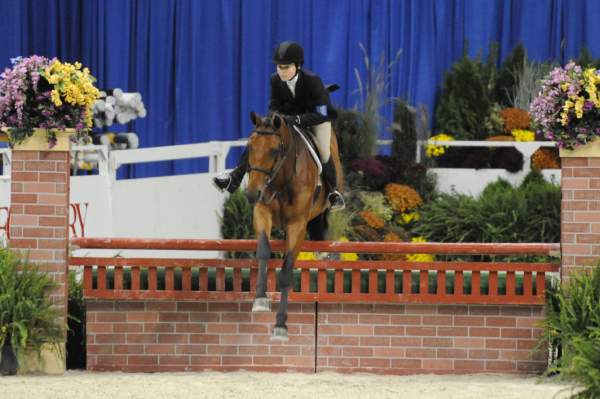 WIHS-10-23-09-WIHSJrEqHtr-DSC_8250-Borealus-KatieDinan-DDeRosaPhoto.jpg