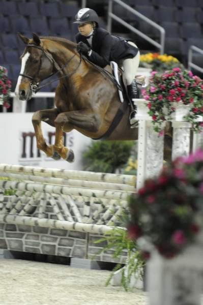 WIHS-10-23-09-WIHSJrEqHtr-DSC_8257-Samson-SarahGreen-DDeRosaPhoto.jpg