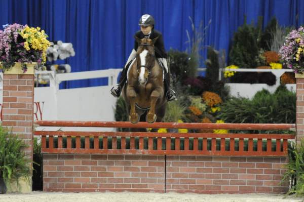 WIHS-10-23-09-WIHSJrEqHtr-DSC_8258-Samson-SarahGreen-DDeRosaPhoto.jpg