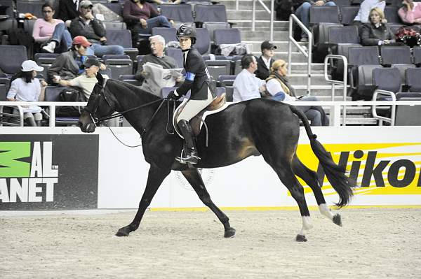 WIHS-10-23-09-WIHSJrEqHtr-DSC_8264-DonJuan-CaitlinHope-DDeRosaPhoto.jpg