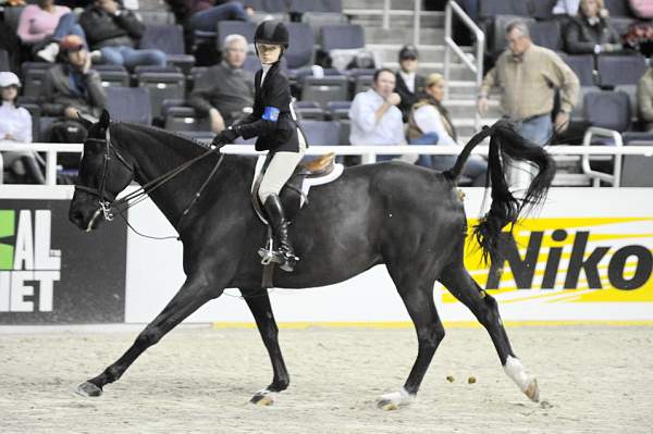 WIHS-10-23-09-WIHSJrEqHtr-DSC_8286-Logan-LillieKeenan-DDeRosaPhoto.jpg