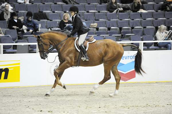 WIHS-10-23-09-WIHSJrEqHtr-DSC_8349-Urco-MorganHale-DDeRosaPhoto.jpg