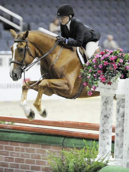 WIHS-10-23-09-WIHSJrEqHtr-DSC_8353-Urco-MorganHale-DDeRosaPhoto.jpg