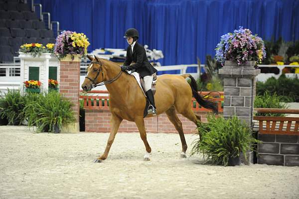 WIHS-10-23-09-WIHSJrEqHtr-DSC_8362-Ivy-ZazouHoffman-DDeRosaPhoto.jpg