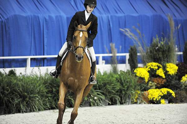 WIHS-10-23-09-WIHSJrEqHtr-DSC_8364-Ivy-ZazouHoffman-DDeRosaPhoto.jpg