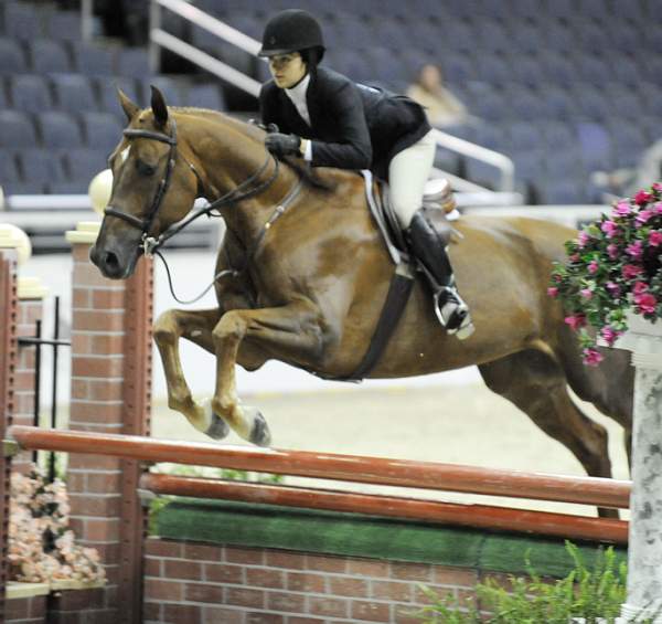 WIHS-10-23-09-WIHSJrEqHtr-DSC_8393-Kosta-DanielleCooper-DDeRosaPhoto.jpg