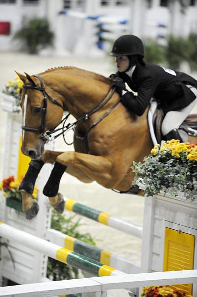 WIHS-10-24-10-Cl182-WIHSJrEqJpr-DSC_0249-Ivy-ZazouHoffman-DDeRosaPhoto.jpg