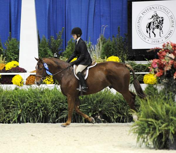 WIHS-10-23-09-WIHSJrEqHtr-DSC_8419-Travino-SamanthaSchaefer-DDeRosaPhoto.jpg