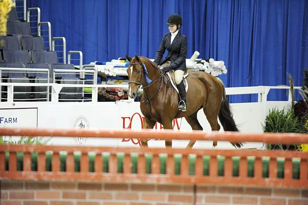 WIHS-10-23-09-WIHSJrEqHtr-DSC_8420-Travino-SamanthaSchaefer-DDeRosaPhoto.jpg