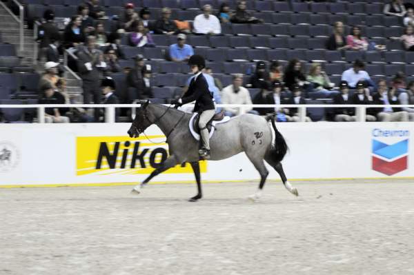 WIHS-10-24-09-DSC_9154-DDeRosaPhoto.jpg