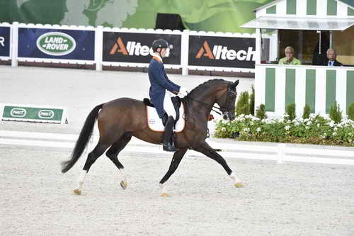 WEG-Dressage-8-25-14-GPTeam-0003700-DierderikvanSilfhout-ArlandoNHNOP-NED-DDeRosaPhoto