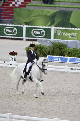 WEG-Dressage-8-25-14-GPTeam-0003744-PedroTavaresDeAlmeida-Samba-BRA-DDeRosaPhoto