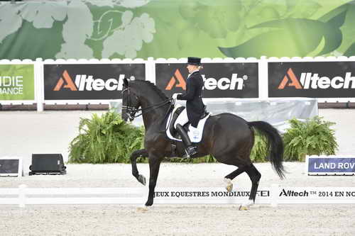 WEG-Dressage-8-25-14-GPTeam-0003831-StellaHagelstam-ChopinIII-FIN-DDeRosaPhoto