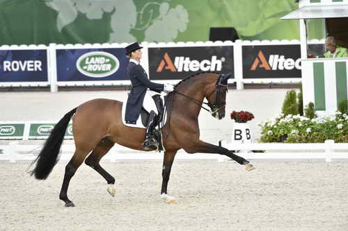 WEG-Dressage-8-25-14-GPTeam-0004102-MareeTomkinson-Diamantina4-AUS-DDeRosaPhoto