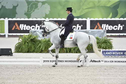 WEG-Dressage-8-25-14-GPTeam-0004177-ManuelVeiga-BenHurDaBroa-POR-DDeRosaPhoto