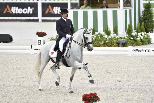 WEG-Dressage-8-25-14-GPTeam-0004206-ManuelVeiga-BenHurDaBroa-POR-DDeRosaPhoto