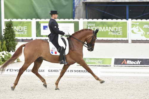 WEG-Dressage-8-25-14-GPTeam-0004301-AlexandreAyache-LightsofLondonderry-FRA-DDeRosaPhoto