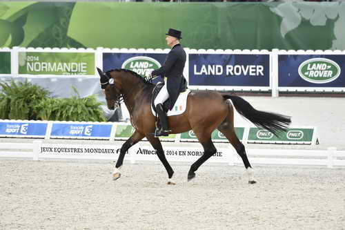 WEG-Dressage-8-25-14-GPTeam-0004442-JamesConnor-CasinoRoyal-IRL-DDeRosaPhoto