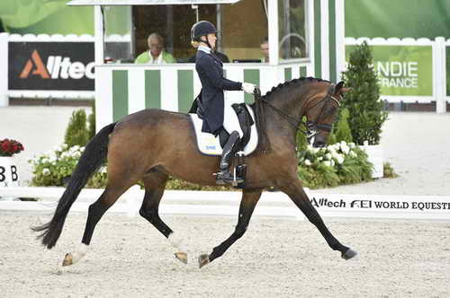 WEG-Dressage-8-25-14-GPTeam-0004603-JeannaHogberg-DarciaVH-SWE-DDeRosaPhoto