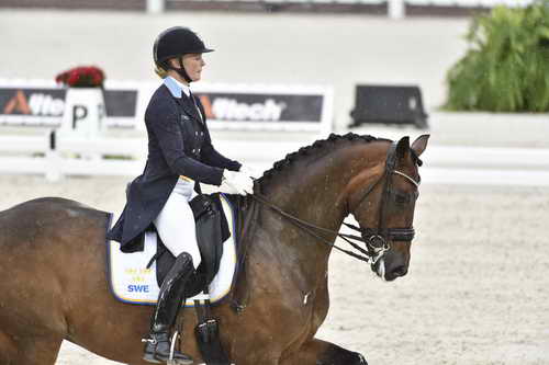 WEG-Dressage-8-25-14-GPTeam-0004618-JeannaHogberg-DarciaVH-SWE-DDeRosaPhoto