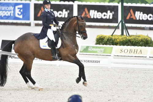 WEG-Dressage-8-25-14-GPTeam-0004657-JeannaHogberg-DarciaVH-SWE-DDeRosaPhoto