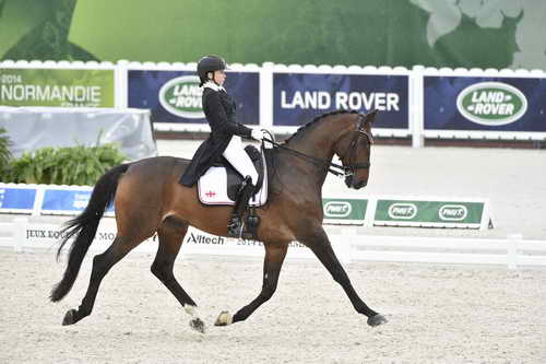 WEG-Dressage-8-25-14-GPTeam-0004694-JoanneVaughan-ElmegardensMarquis-GEO-DDeRosaPhoto