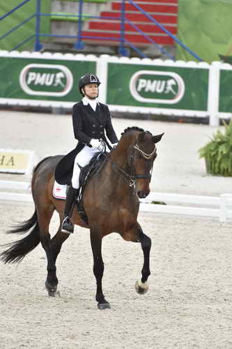 WEG-Dressage-8-25-14-GPTeam-0004705-JoanneVaughan-ElmegardensMarquis-GEO-DDeRosaPhoto