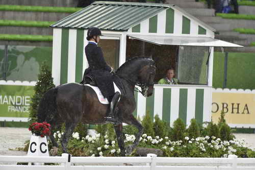 WEG-Dressage-8-25-14-GPTeam-0005952-AdrienneLyle-Wizard-USA-DDeRosaPhoto