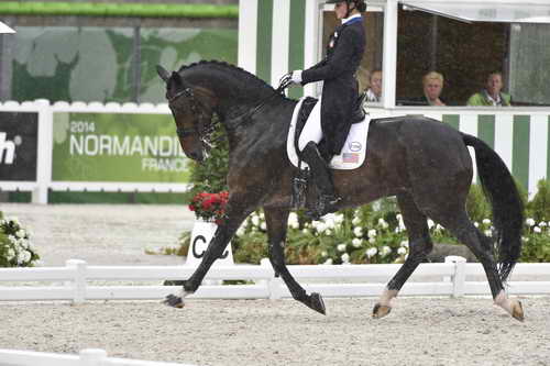 WEG-Dressage-8-25-14-GPTeam-0005968-AdrienneLyle-Wizard-USA-DDeRosaPhoto