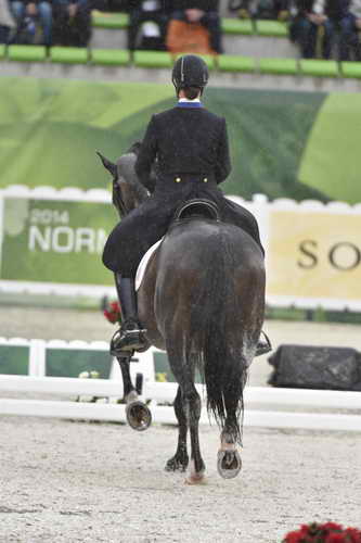 WEG-Dressage-8-25-14-GPTeam-0006010-AdrienneLyle-Wizard-USA-DDeRosaPhoto