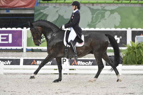 WEG-Dressage-8-25-14-GPTeam-0006029-AdrienneLyle-Wizard-USA-DDeRosaPhoto